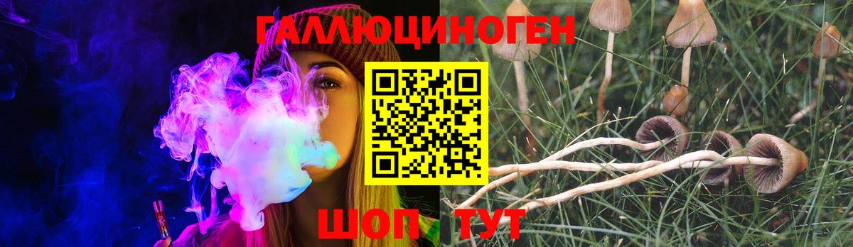 Галлюциногенные грибы Psilocybe Армавир